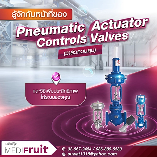 มาทำความรู้จักกับ Pneumatic Actuator Controls Valves​