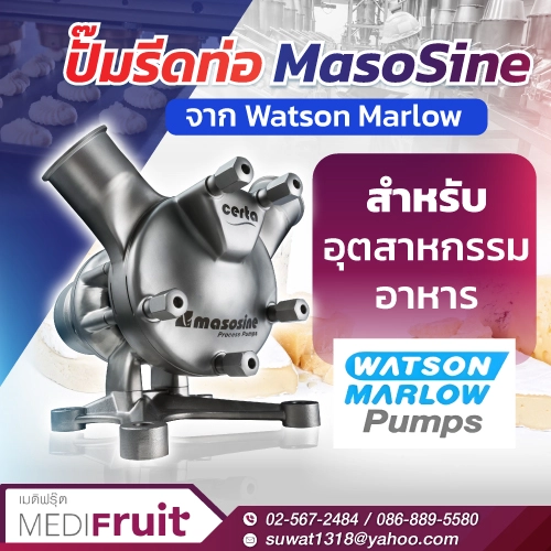 ปั๊มรีดท่อ MasoSine จาก Watson Marlow สำหรับอุตสาหกรรมอาหาร